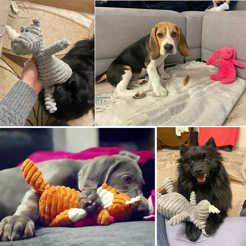 Plush Toy for Pets - Xdiniz