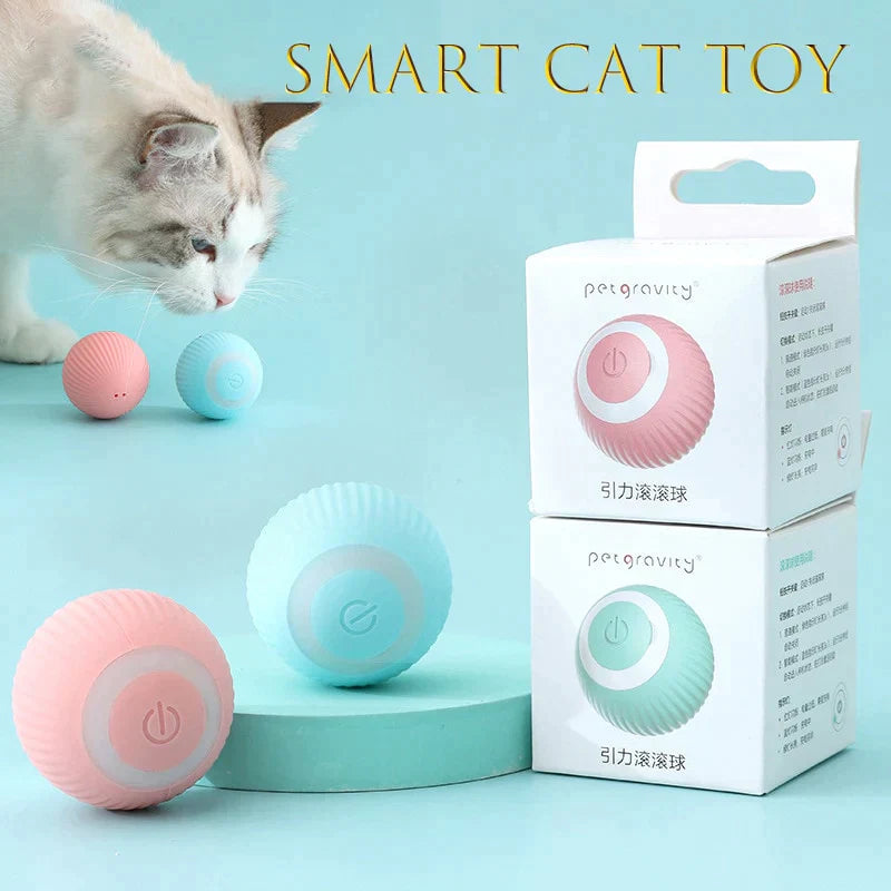 Interactive ball for cats - Xdiniz