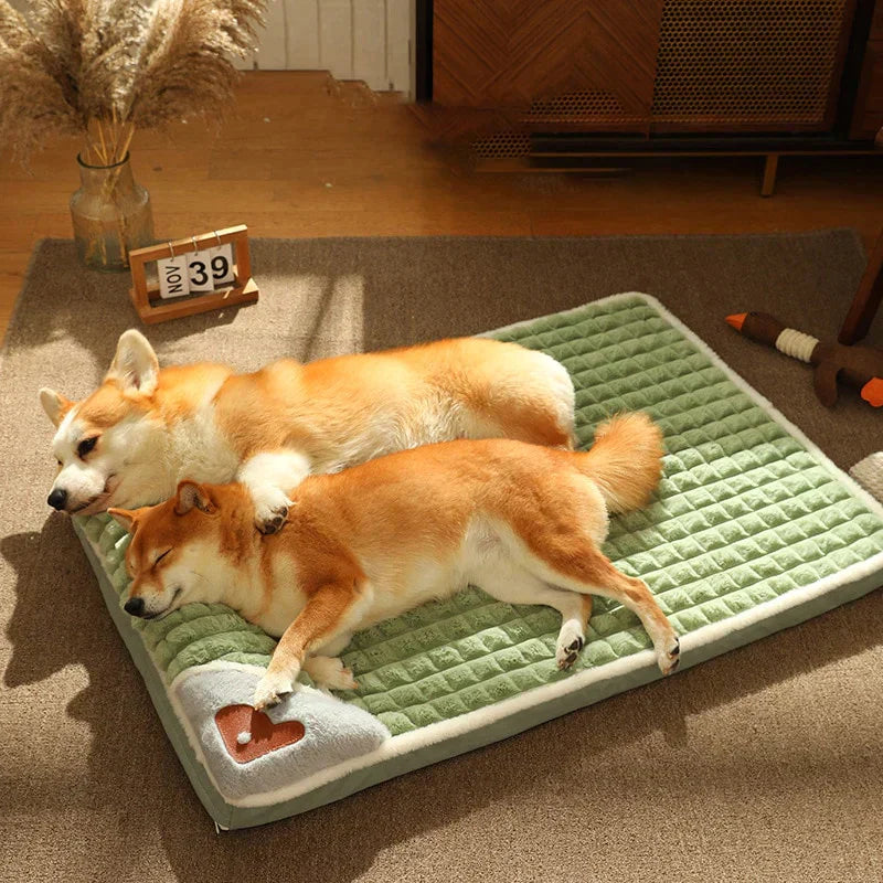 Comfort Pet Bed - Xdiniz