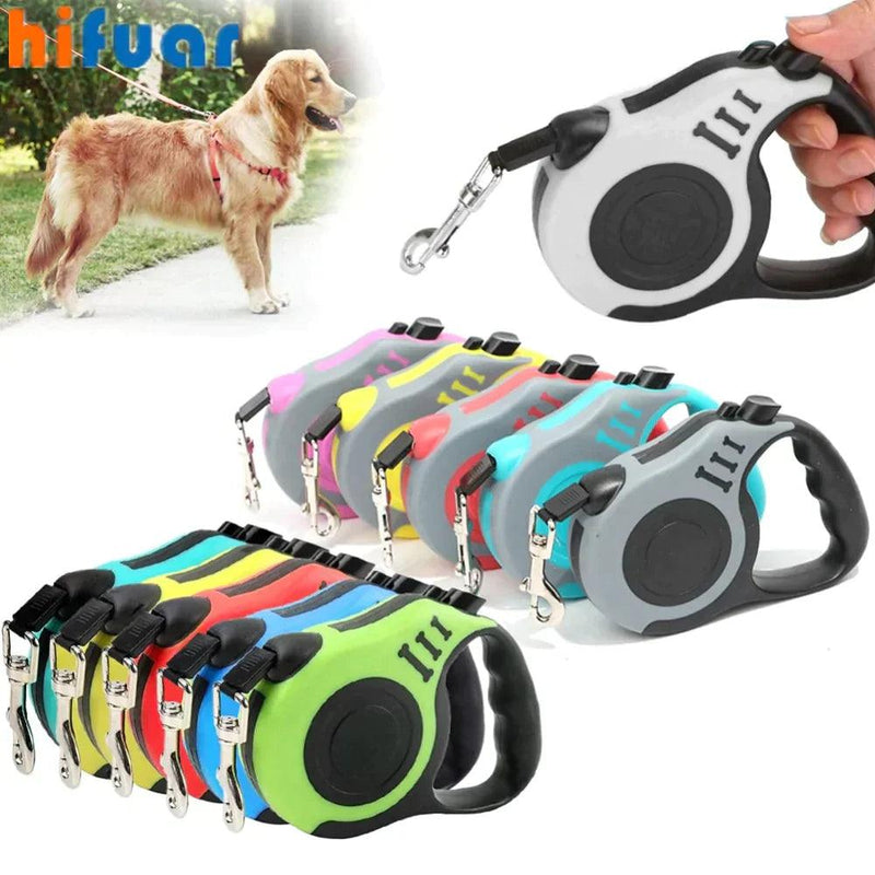 Dog collar - Xdiniz