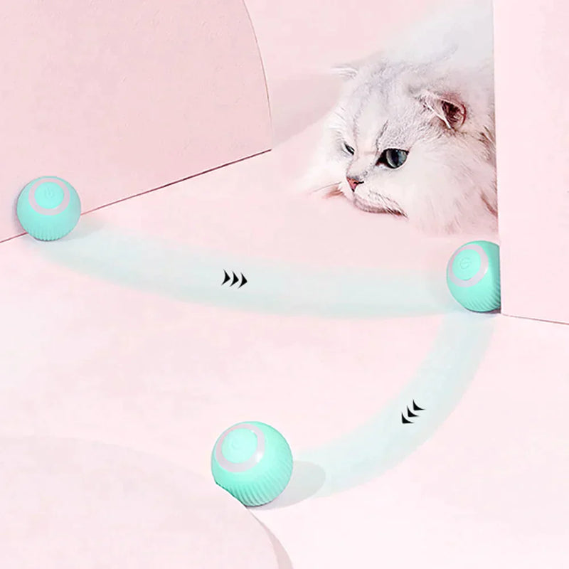 Interactive ball for cats - Xdiniz