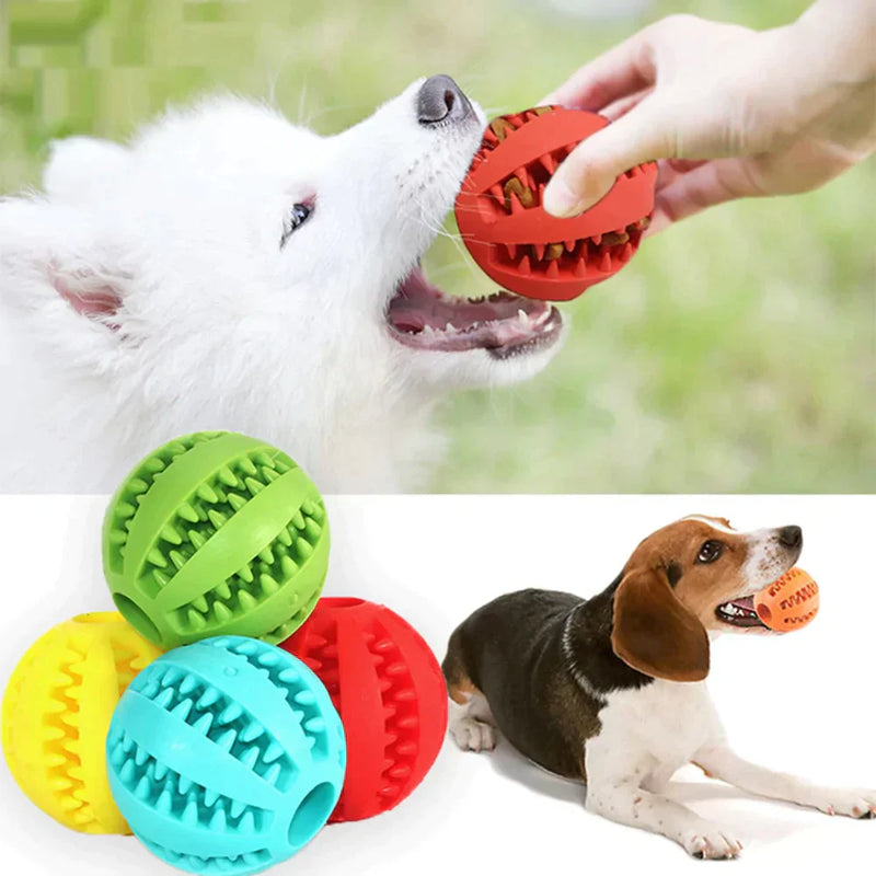 Interactive Ball - Treat Dispenser for Pets - Xdiniz