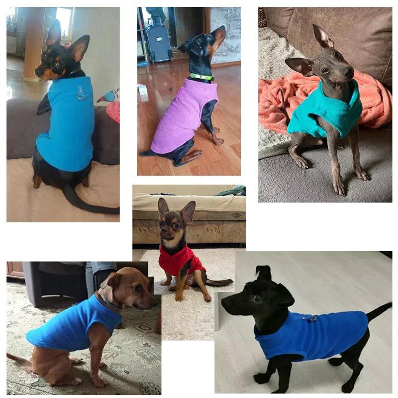 Dogs' clothing - Xdiniz